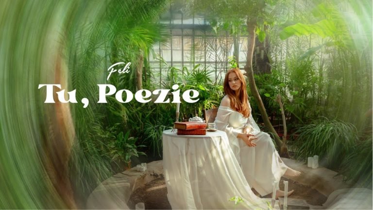 Lyrics Feli – Tu, Poezie