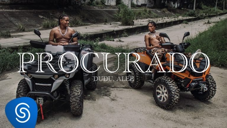 Letra Dudu x Alee – Procurado