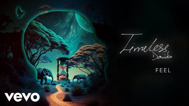Lyrics Davido – FEEL