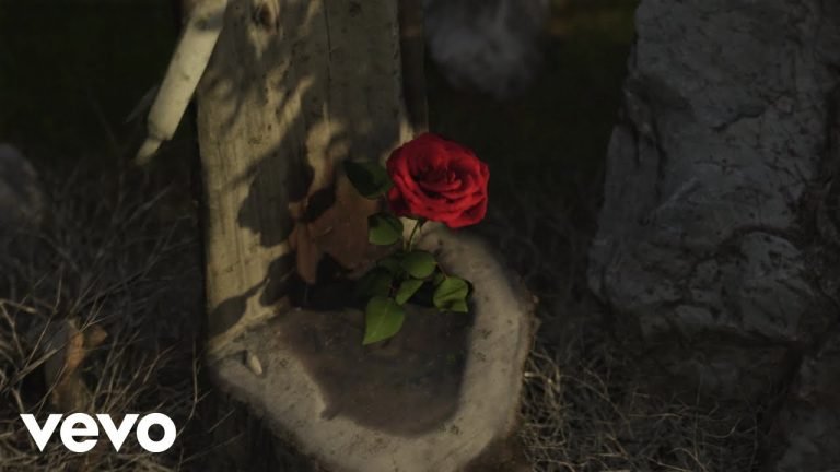 Lyrics Dylan, Ernia – ODIO STARE DA SOLO