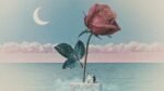 Tove Lo - des fleurs x stromae