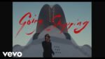 The Strokes - Going Shopping