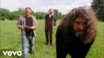 Dinosaur Jr. - Several Got Away