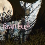 ankle – Mr. Fawnbuck Lyrics