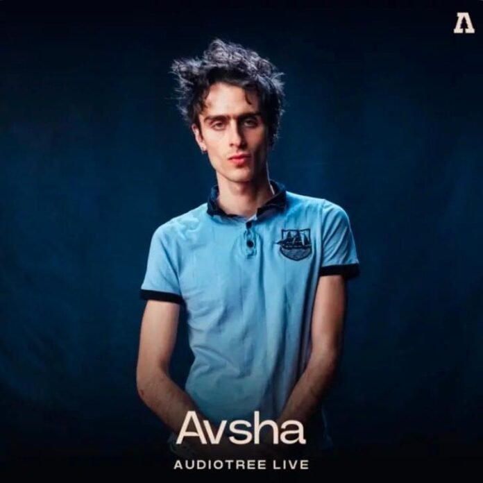 Avsha the Awesome – Fern – Audiotree Live Version Lyrics