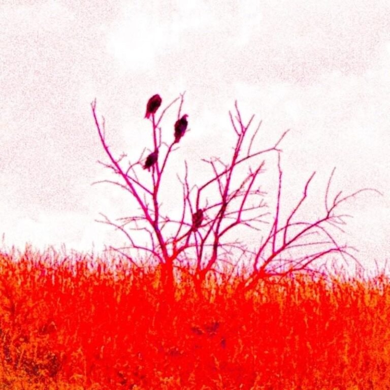 EOVA – stressedout Lyrics