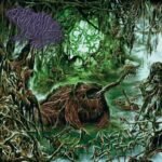 Frog Mallet – Save the Frogs Lyrics