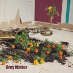 Grey Matter – Grey Matter Lyrics