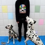 jedrek hibob – lil gg Lyrics