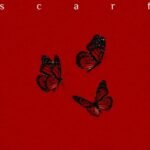 NOA/Noah Bauer – scarf (Lyrics & Video)