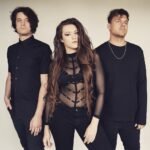 Reptile Room – Backseat Lyrics