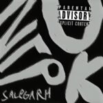 salegarh – Игрок (Player) Lyrics