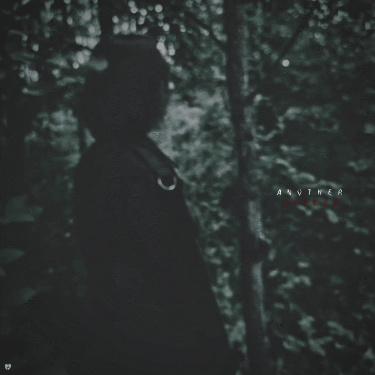 SLVTN – Another Victim Lyrics