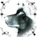wizardjit – spill Lyrics