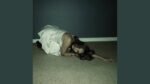 tiffny - crawling back to you