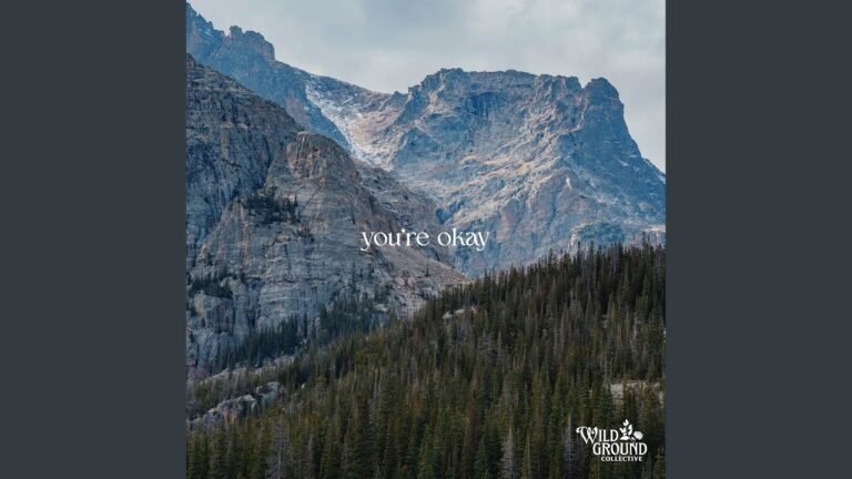 Wild Ground Collective – You’re Okay (Lyrics & Video)