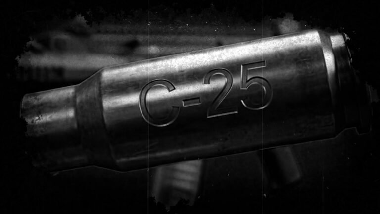 Doble ONE Flow Letal – C-25 (Letra & Video)
