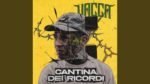 Vacca - Alette di pollo