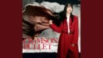 水樹奈々 (Nana Mizuki) - Friday Night Fever