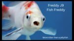 Freddy J9 - Fish Freddy