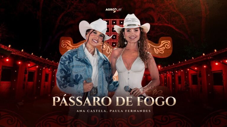 Os Universitários – Pássaro de Fogo (Letra & Video)