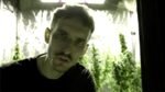 mlodyskiny - trafilo mi sie