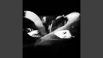 Luca Bailey - The Light
