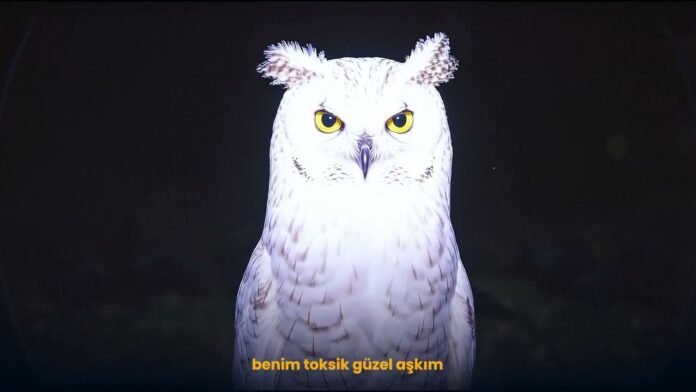 Olvi - KAYIP