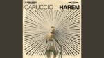 CARUCCIO - Harem