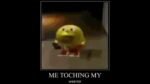 Paboes - me touching my weenor