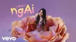 Hanzi - Ngại