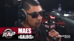 Maes - Gallois